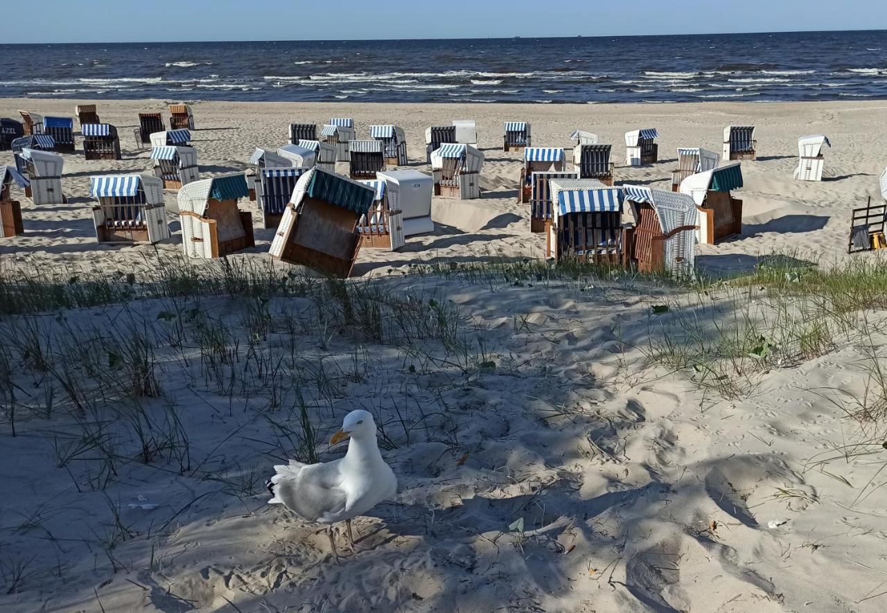 Ferienwohnung Strand25 Trassenheide Eksteriør billede